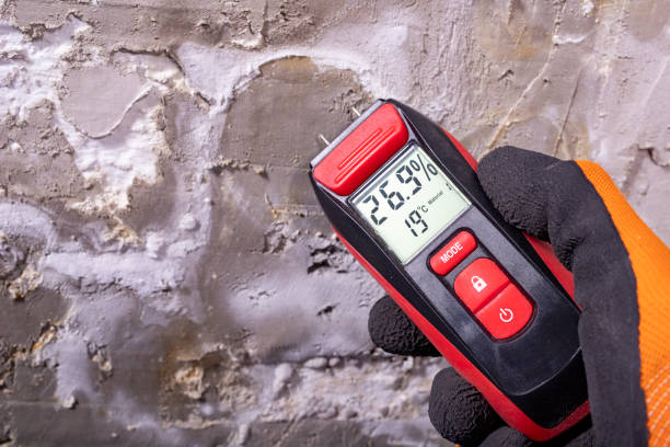 Best Fast Mold Removal  in Hardwick, GA