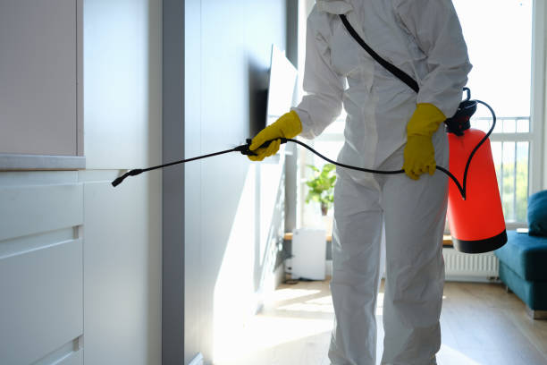 Best Home Mold Removal  in Hardwick, GA